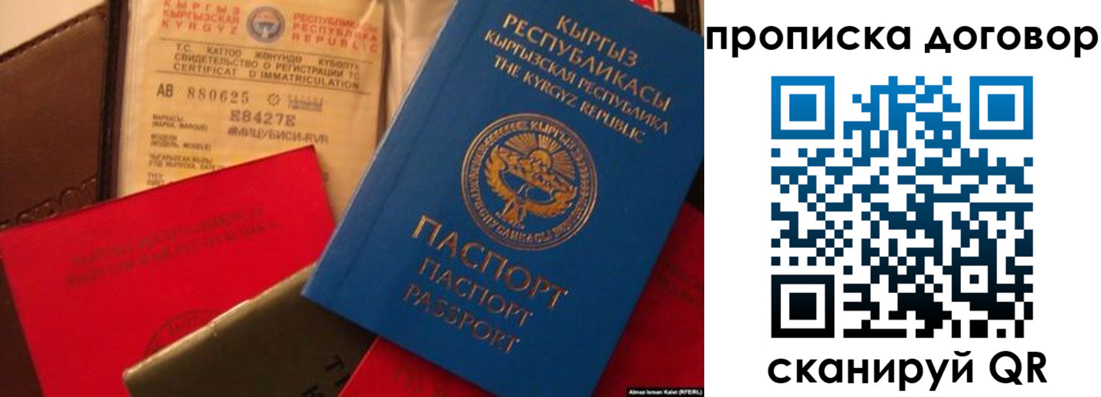 прописка законно в Почепе